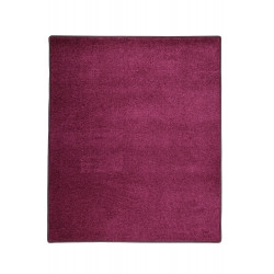 AKCE: 57x120 cm Kusový koberec Eton fialový 48