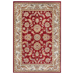 AKCE: 80x120 cm Kusový koberec Luxor 105642 Reni Red Cream