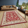 AKCE: 80x120 cm Kusový koberec Luxor 105642 Reni Red Cream