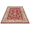 AKCE: 80x120 cm Kusový koberec Luxor 105642 Reni Red Cream