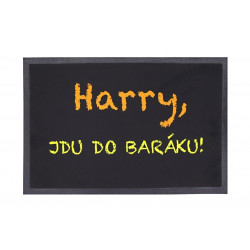 Rohožka Harry, jdu do baráku 40x60 cm