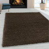 AKCE: 80x150 cm Kusový koberec Fluffy Shaggy 3500 brown